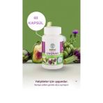 WeLive Enginar & Deve Dikeni & Karahindiba Ekstresi 60 Kapsül - Doğal Detoks ve Sindirim Desteği