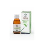 WeLive Ginkgo Biloba Ginseng Sıtikolin 150 ml - Doğal Zihinsel ve Fiziksel Performans Desteği