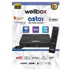 wellbox Dahili Wi-Fi Özellikli 2024 Model Çanaklı Çanaksız İp Full HD Uydu Alıcısı