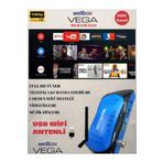 Wellbox Vega Wifi Anten Dahil Çanaklı Çanaksız 2024 Model Full Hd Uydu Alıcı Free Ip Tiktok Youtube Mavi