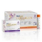 Wellcare Collagen Beauty Boost Plus 10.000 Mg Likit 30 Tüp 30 Kapsül