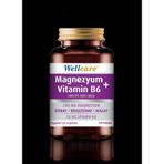 Wellcare Magnezyum + Vitamin B₆ 200/10Mg 60 Tab
