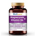 Wellcare Magnezyum Vitamin B6 3x30 Tablet