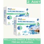 Wellcare Omega 3 Balık Yağı 750 mg 30 Kapsül x 2 Adet