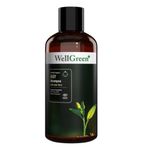 WellGreen Organik Aloe Vera Özlü Sertifikalı 250 ml Bebek Şampuanı