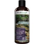 WellGreen Organik Sertifikalı Lavanta Özlü Canlandırıcı 400 ml Duş Jeli