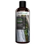 WellGreen Sertifikalı Aloe Vera Özlü Besleyici 400 ml Organik Şampuanı