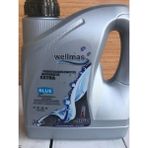 Wellmas Antifriz Mavi 3lt -40°c
