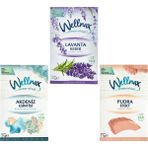 Wellnax Breeze Refresh 3’lü Dolap ve Çekmece Koku Kesesi Seti – Lavanta, Akdeniz Esintisi, Pudra Efekt (3 x 21 G)