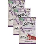 Wellnax breeze refresh Dolap Ve Çekmece Kokusu Lavanta Tazeliği Kesesi X3