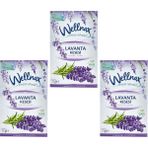 Wellnax Breeze Refresh Lavanta Kesesi Askılı Oda & Dolap Kokusu 21 G – 3’lü Set