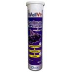 Wellvit Sambucus Beta Glukan C Vitamini Çinko 20 Efervesan Tablet