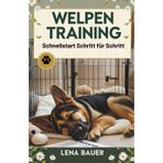 Welpen Training: Schnellstart Schritt für Schritt