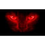 Wenchang Shop C Kedi-Kırmızı Şaşırtıcı 3D Araba Arka Cam Poster - 130*70 cm Su Geçirmez Tek Yönü Görüş Korkutucu Pencere Etiketleri Oem Sticker (Yurt Dışından) - Beyaz