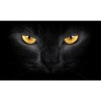 Wenchang Shop C Kedi-Sarı Şaşırtıcı 3D Araba Arka Cam Poster - 130*70 cm Su Geçirmez Tek Yönü Görüş Korkutucu Pencere Etiketleri Oem Sticker (Yurt Dışından) - Beyaz