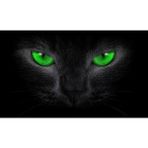 Wenchang Shop C Kedi-Yeşil Şaşırtıcı 3D Araba Arka Cam Poster - 130*70 cm Su Geçirmez Tek Yönü Görüş Korkutucu Pencere Etiketleri Oem Sticker (Yurt Dışından) - Beyaz