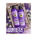 wendore sihirli kokular Lavanta&Papatya Sihirli Küre ve Tüm Koku Makinelerine uyumlu Parfüm Solüsyonu esansı 150ml