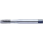Werkö DIN-376/B HSS M6 Makine Kılavuzu