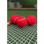 Werkon 3 Adet Antrenman Tenis Topu Kırmızı