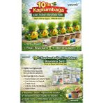 Wesank 10 Paket Kaplumbağa Çim Yetiştirme Kiti (Boya+Fırça+Toprak+Tohum+Kaplumbağa)