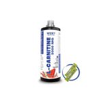 West Nutrition L-karnitin ( L-carnitine ) 3000 Mg 1000 ml 33 Servis Karpuz Aromalı
