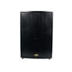 WEST SOUND TKS 12 W 12 İNÇ PASİF 2 YOLLU BOYALI AHŞAP KABİN HOPARLÖR