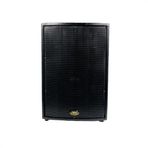 WEST SOUND TKS 15 W 15 İNÇ PASİF 2 YOLLU BOYALI AHŞAP KABİN HOPARLÖR