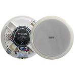 Westa Ws-2035T Alcipan Tavan Hoparlor 20Cm 10 Watt Trafolu Beyaz