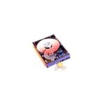 Western Digital 160GB 8MB SATA2 Sabit Disk WD1600AAJS