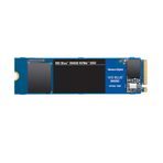 Western Digital 500 GB Blue WDS500G2B0C M.2 SSD SSD