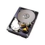 Western Digital WD400BD 40GB Sabit Disk