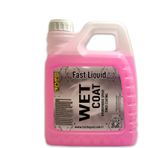Wet Coat 4 Lt Islak & Hızlı Cila.