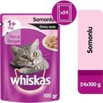 Whiskas Pouch Somon Balıklı Yaş 100gr x 24 Adet Kedi Maması