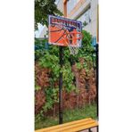 whiteface Tek Direkli Sabit Basketbol Potası Basic Model Sabit Çember Dijital Panya BASTEK-113