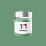 Whynot Green Energy Multisurface Kendinden Vernikli Akrilik Boya - 250 ml