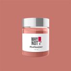 Whynot Hopeful Multisurface Kendinden Vernikli Akrilik Boya - 250 ml