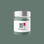 Whynot Kendinden Vernikli Akrilik Boya Yeşil Renk Multisurface Özelliği ile Uygulaması Kolay - 250 ml