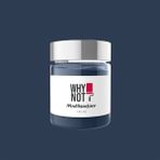 Whynot Moonlit Sky Multisurface Kendinden Vernikli Akrilik Boya - 250 ml