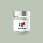 Whynot Olive Grove Multisurface Kendinden Vernikli Akrilik Boya - 500 ml