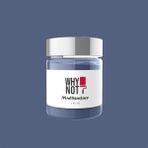 Whynot Orion Multisurface Kendinden Vernikli Akrilik Boya - 250 ml