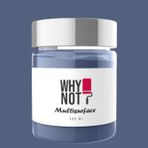 Whynot Orion Multisurface Kendinden Vernikli Akrilik Boya 500 Ml