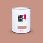 Whynot? Reddish 2.5 lt İç Cephe Duvar Boyası