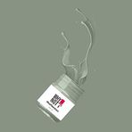 Whynot Yeşil Akrilik Boya - Sage Multisurface 250ML