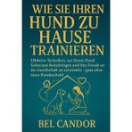 Wie Sie Ihren Hund Zu Hause Trainieren: Effektive Techniken, um Ihrem Hund Gehorsam beizubringen und ihm Freude an der Gesellschaft zu vermitteln - ganz ohne teure Hundeschule!: 4