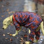 Wild Polarlı Orta-Büyük Irk Köpek Yağmurluk Tulumu (8)