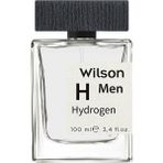 Wilson Hydrogen EDT 100 ml Erkek Parfüm
