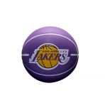 Wilson NBA Dribbler WTB1100PDQLAL Mini Basketbol Topu