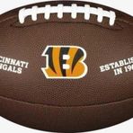 Wilson NFL LICENSED FOOTBALL CN Amerikan Futbol Topu WTF1748XBCN