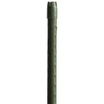 Windhager Çelik bitki çubuğu, bitki barfikası, bitki desteği, tırmanma yardımcısı, bitki çubuğu, domates çubukları, yeşil, 120 cm, 05623