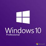 Windows 10 Pro Oem Lisans